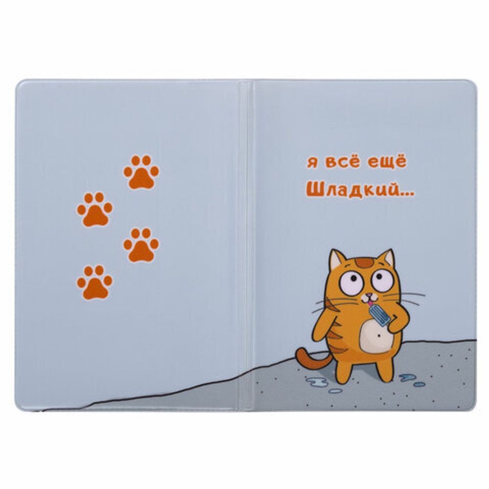 Обложка для паспорта "Cool Mix", два кармана, 10 дизайнов ассорти, цветной принт, ПВХ, STAFF, 238340