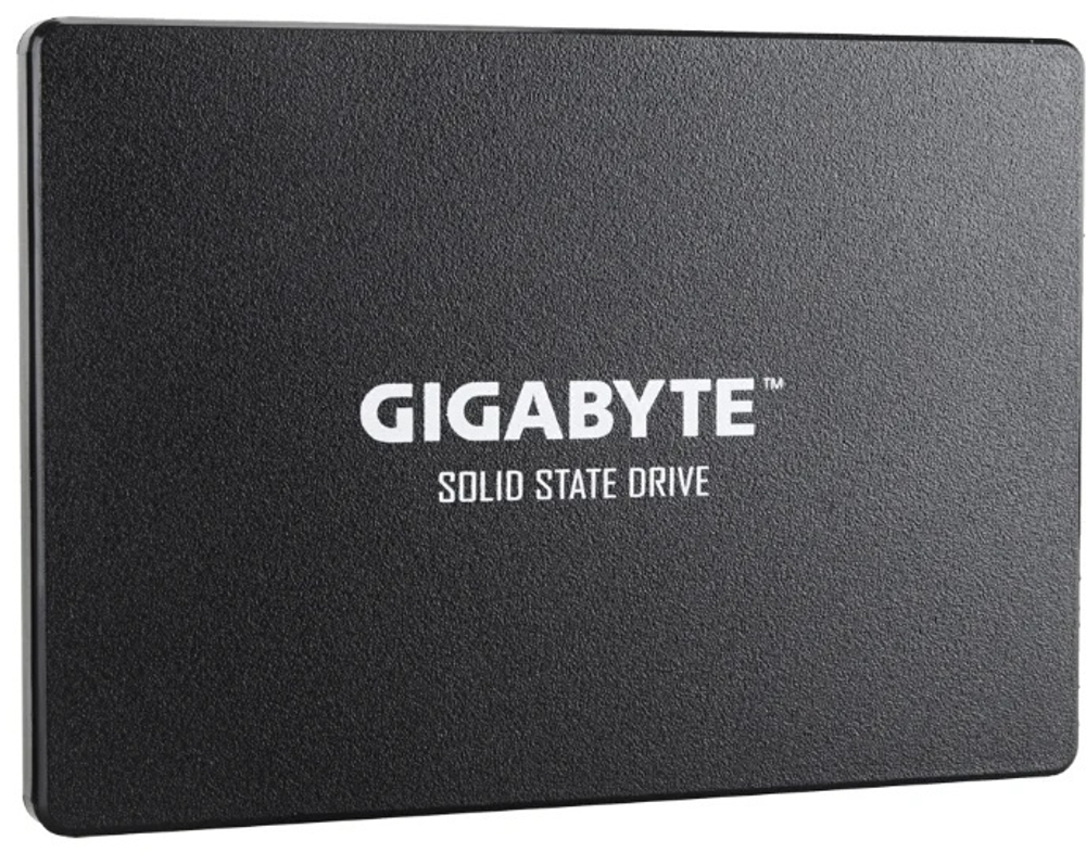 SSD GIGABYTE GP-GSTFS31256GTND 256 ГБ