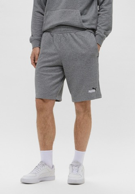 Шорты спортивные мужские PUMA ESS 2 COLOR No. 1 Logo Shorts 10" TR