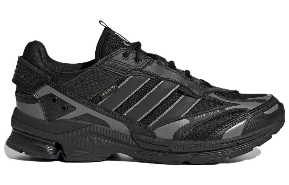 Кроссовки Adidas Spiritain 2000 Gore-Tex