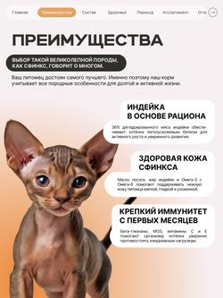 Корм сухой для котят породы Сфинкс, с индейкой, 2кг, QUATTRO