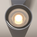 Уличный настенный светильник Outdoor O574WL-02GR