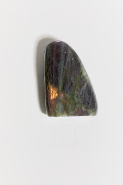 Срез Лабрадора S