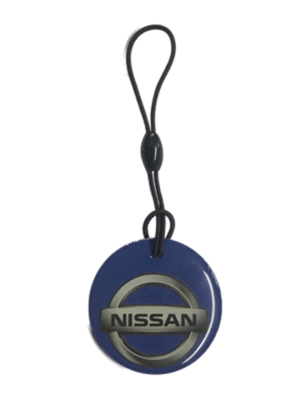 Заготовка домофонная EPOXY чип Н5.5 NISSAN (на резинке)