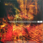 Paradise Lost / Draconian Times (25th Anniversary Edition)(Coloured Vinyl)(2LP)