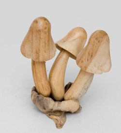 50-016 Статуэтка «Грибы»