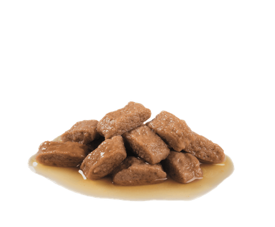 Royal Canin Medium Ageing 10+ влажный корм для взрослых собак средних пород