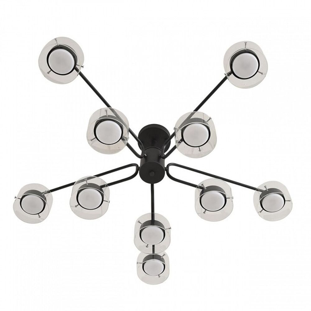 Люстра на штанге Lumion NATALINA 8349/10C