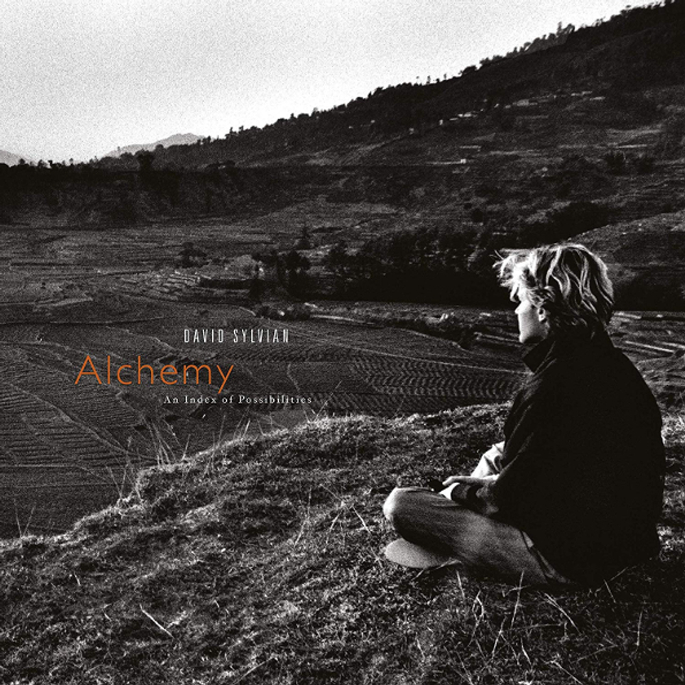 David Sylvian / Alchemy - An Index Of Possibilities (LP)