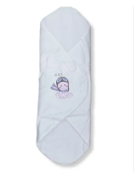 Конверт на выписку для мальчика.