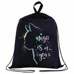 Мешок для обуви BRAUBERG, с петлёй, карман на молнии, 47х37 см, "Magic Cat", 271608