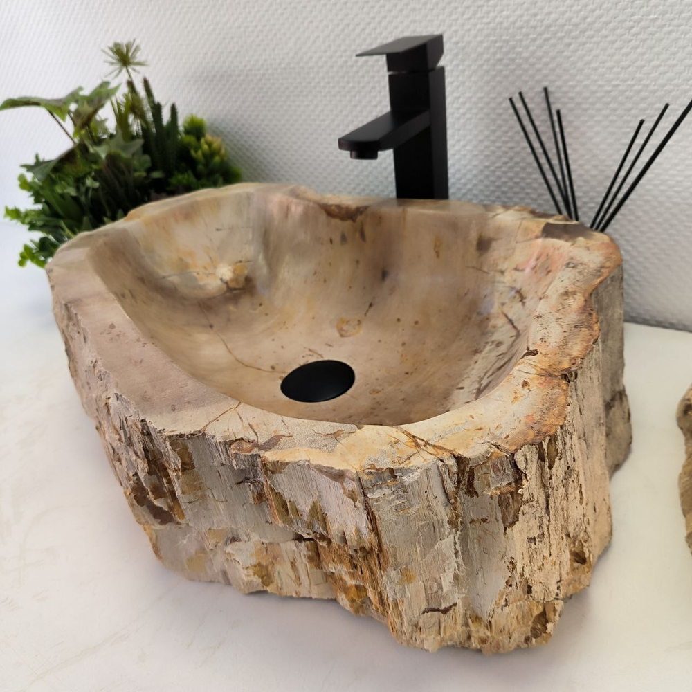 Раковина из окаменелого дерева Fossil Basin  53*39*15 см OD-02366