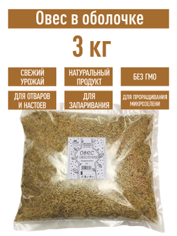 Овес для настоев, 3 кг для запаривания заваривания в оболочке неочищенный в шелухе