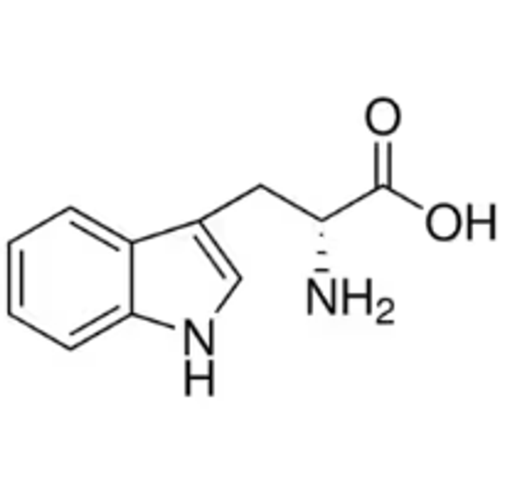 d-триптофан формула