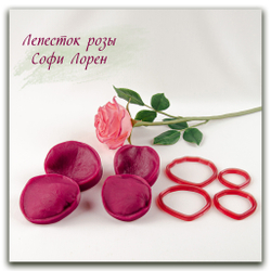 Вайнер и каттеры лепестки розы