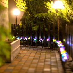 USL-C-451-PT305 PINK TULIP Садовый светильник на солнечной батарее Розовый тюльпан. Белый свет. 1xLR аккумулятор в-к. IP44. TM Uniel.