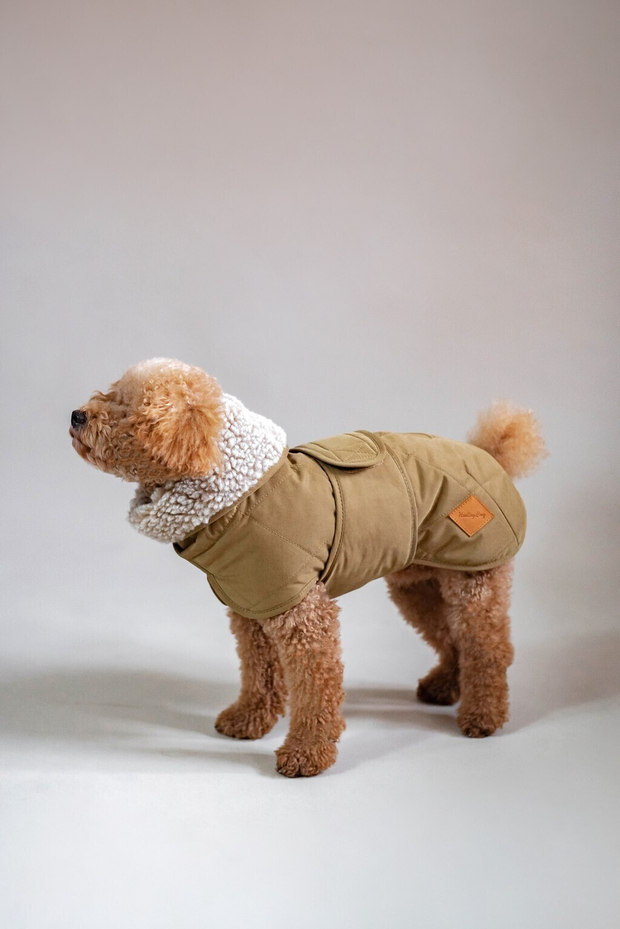 Попона "Пони-эскимони" мох