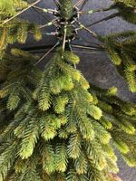 Ель искусственная «Мисхор» (Литая хвоя) 150 см / 1.5 м