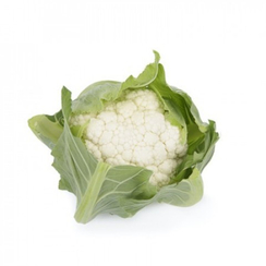 Витурри F1 семена капусты цветной (Rijk Zwaan / Райк Цваан)