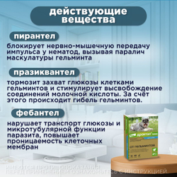 Таблетки для собак от гельминтов и лямблий со вкусом мяса Дронтал плюс , 2 таблетки в упаковке. Фебантел/Пирантел/Празиквантел