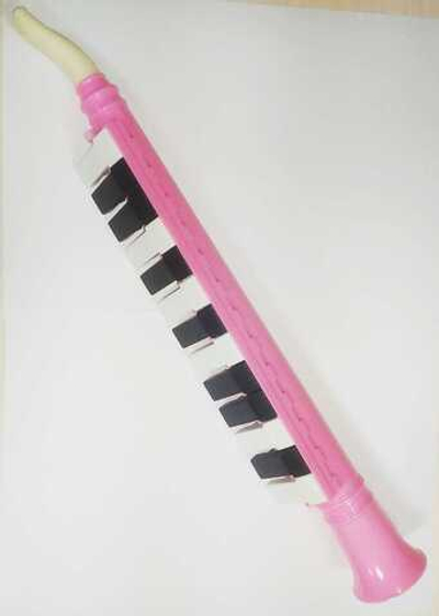 Мелодика детская Swan SW13J