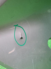 Бампер передний Geely Coolray (2019-2024)