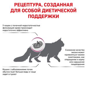 Корм для кошек, Royal Canin Renal Special RSF 26 Feline, с пониженным аппетитом  при хронической почечной недостаточности