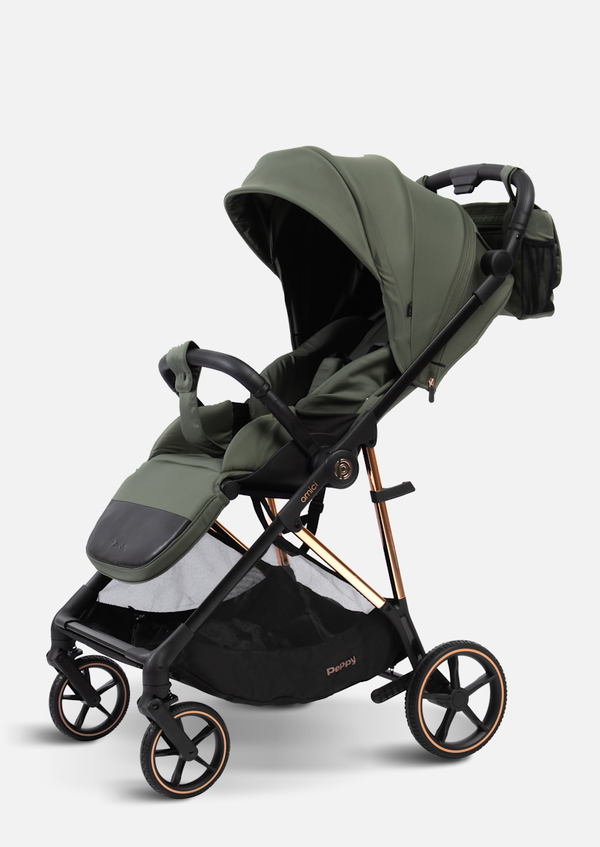 Peppy Коляска прогулочная Amici (Green) рама Black