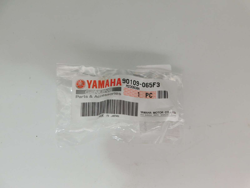 болт крепления тормозного диска Yamaha TT-R250 TT250R 90109-065F3-00