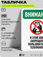 Табличка для частной территории "Внимание, в этой зоне запрещено пользоваться телефоном", на дом, для участка, организаций и частных территорий, 40х30 см, Silver Plane x Айдентика Технолоджи