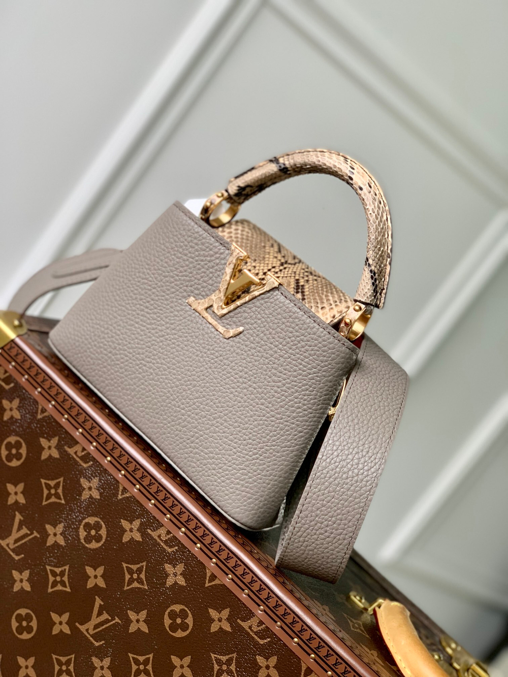 Louis Vuitton Capucines Mini
