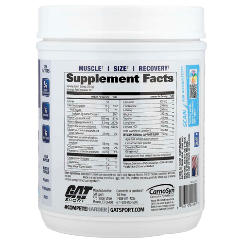 GAT, JetMASS®, система креатина быстрого действия для увеличения объема, тропический лед, 765 г (1,7 фунта)