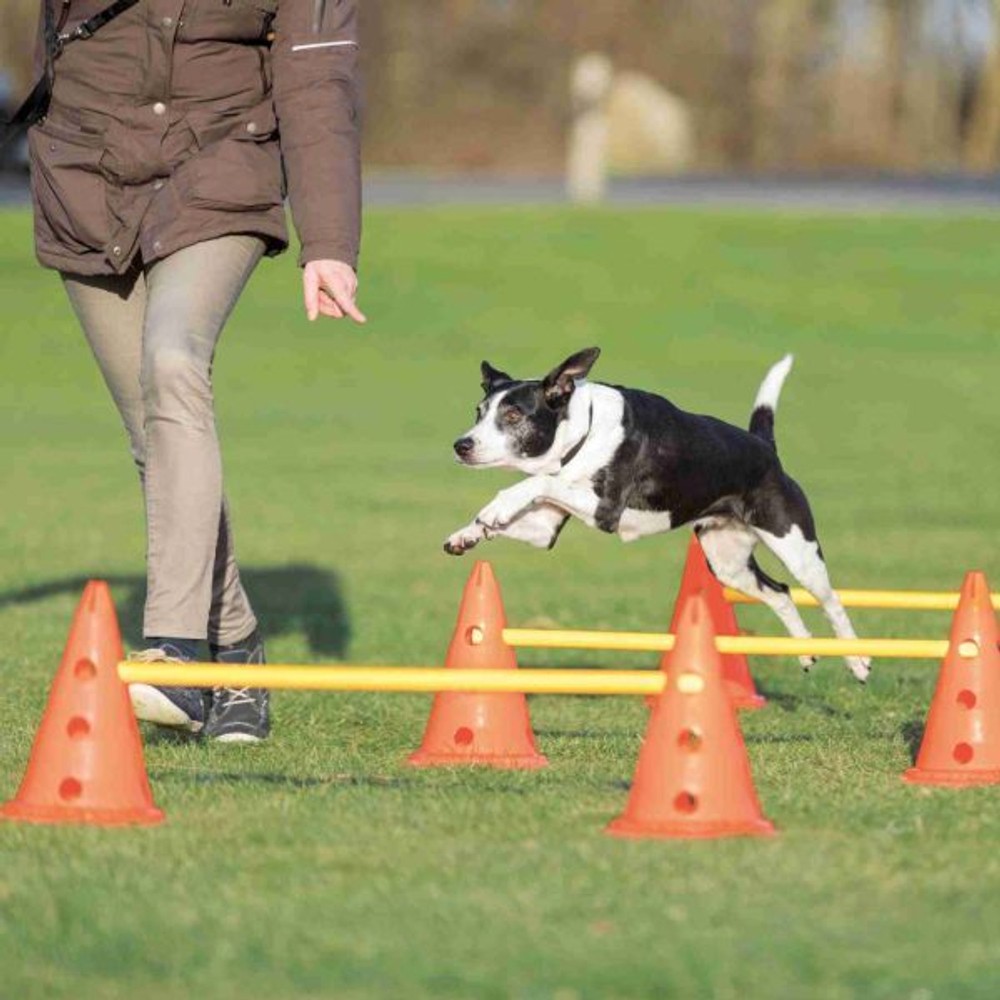 Набор препятствий для аджилити Dog Activity, 6 конусов, 3 рейки, ф 23 × 30 см/ 78 см, Trixie