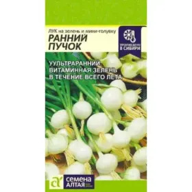 ЛУК РЕПЧАТЫЙ И ШАЛОТ