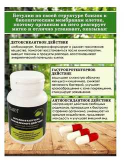 Batel. Бетулин, усиленный природными иммуномодуляторами