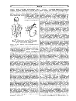 Большая медицинская энциклопедия. Том 17. Массаж - Метрит | Н.А. Семашко