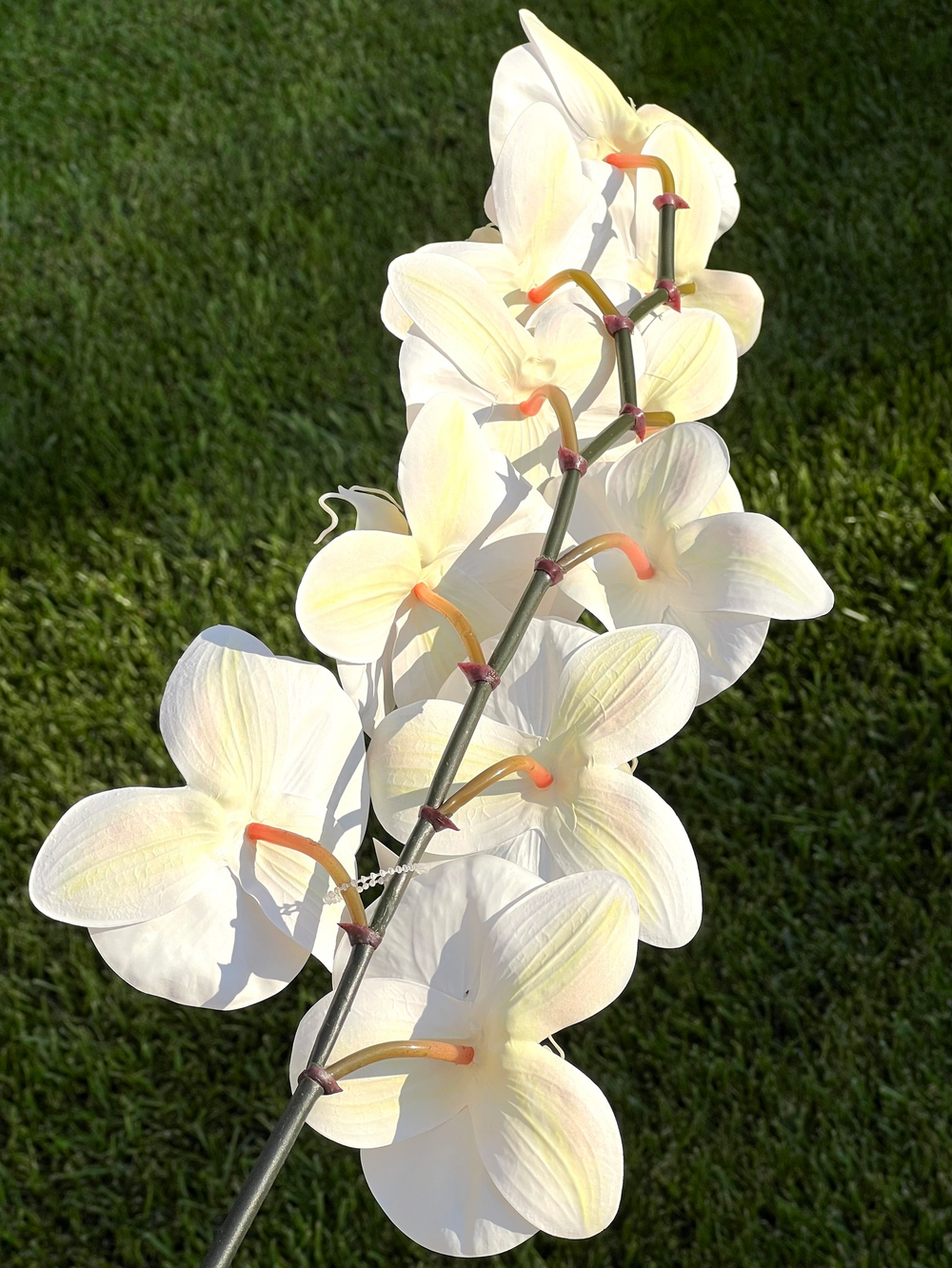 Орхидея фаленопсис белая 95 см