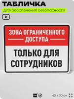 Табличка для обеспечения безопасности "Зона ограниченного доступа, только для сотрудников", для производства, предприятия, организаций, 40х30 см, Silver Plane x Айдентика Технолоджи