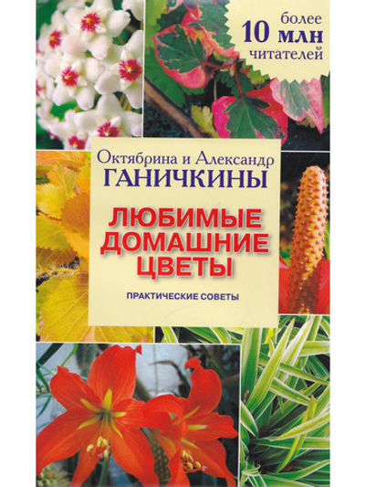 Любимые домашние цветы. Практические советы