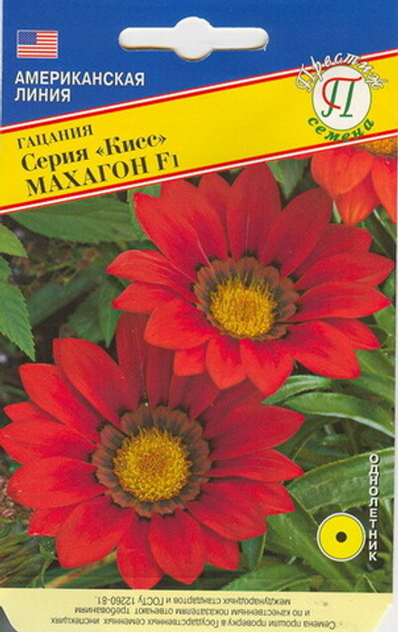 Гацания Кисс F1 Махагон Престиж