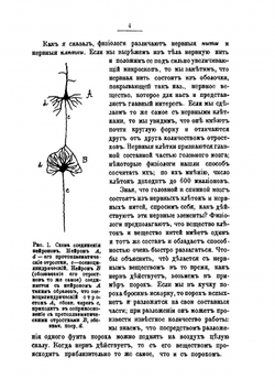 О памяти и мнемонике | Челпанов Георгий Иванович
