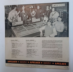 Винтажная виниловая пластинка Apelsin Ансамбль Апельсин (СССР 1979)