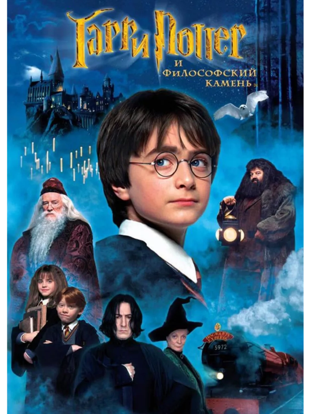 Гарри Поттер и философский камень (2001) (DVD-R)