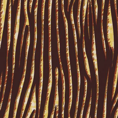Animal Print with zebra stripes