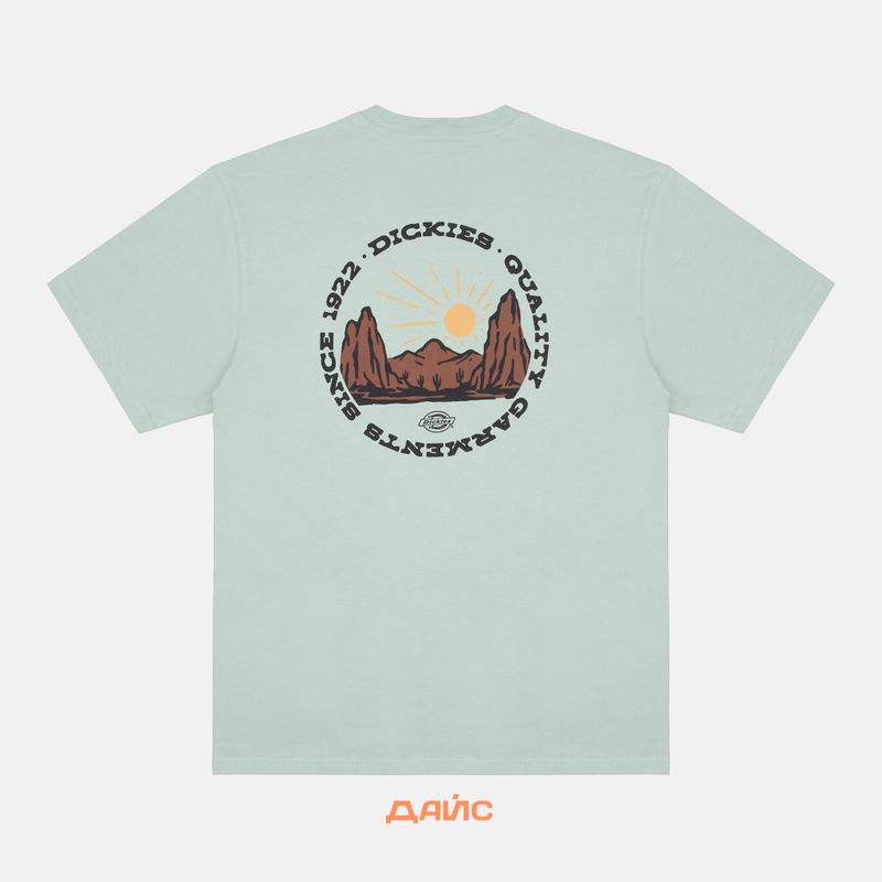Футболка мужская Dickies Outdoor артикул:DK0A4Z8PK361 - купить в магазине Дайс