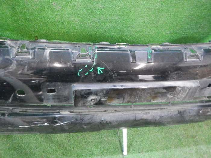 DSCN7155.JPG