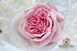 Силиконовая форма Пионовидная роза