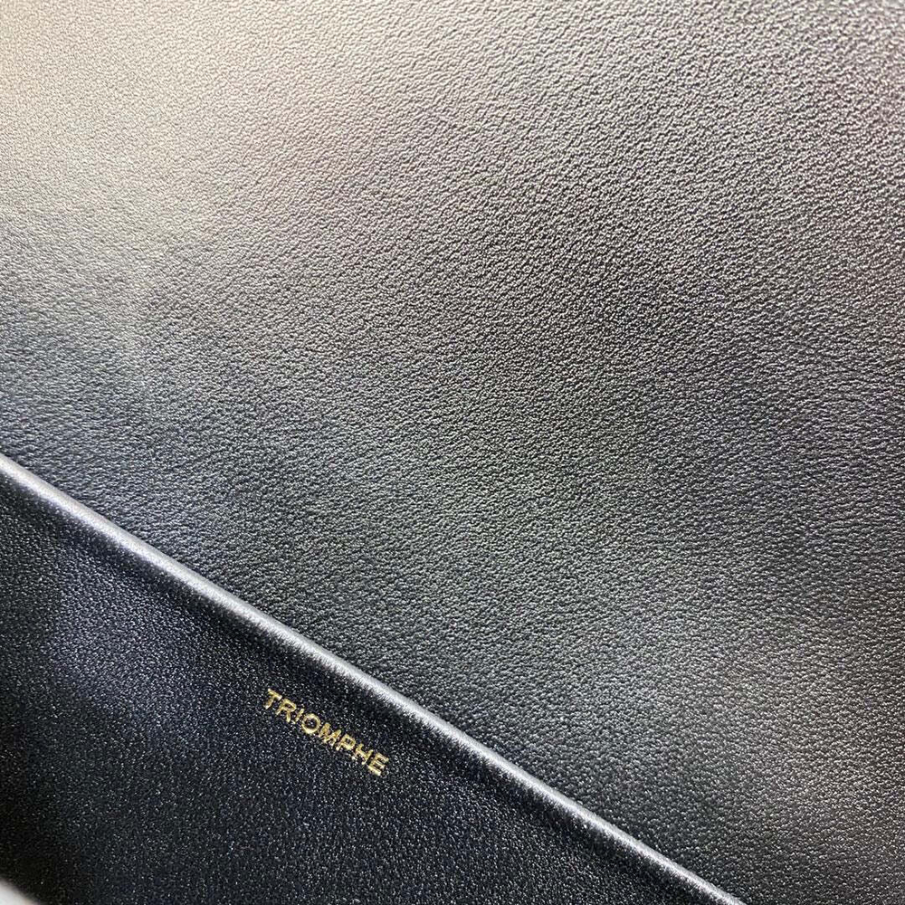 Celine Triomphe 20 cm