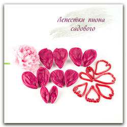 Комплект для лепки садовых пионов