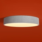 Потолочный светильник Freya RULER FR5555CL-L30BGG